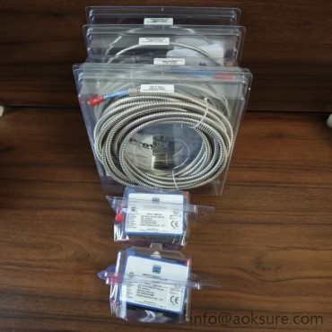 TR4101 Transmitter for Shaft Vibration PROVIBTECH