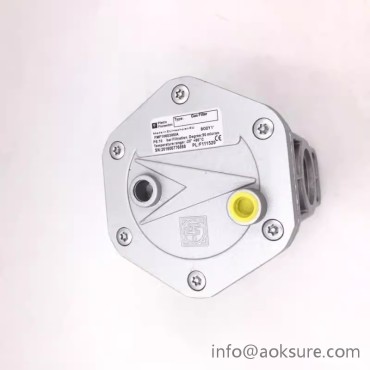 FMF10603001A gas filter Pietro Fiorentini